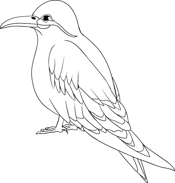 крачка инков. Векторный эскиз рисованной птицы. Линейное искусство животных.