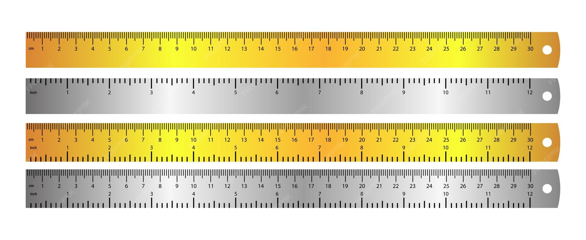 Tape measure presets - centimeter with inches Vector Image