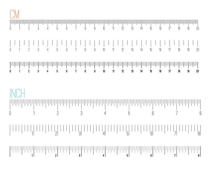 Vector inch and metric measuring rulers.