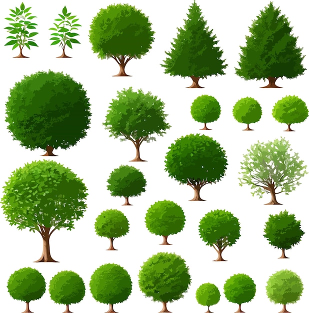 Vector incredible forest trees bushes plants art vector