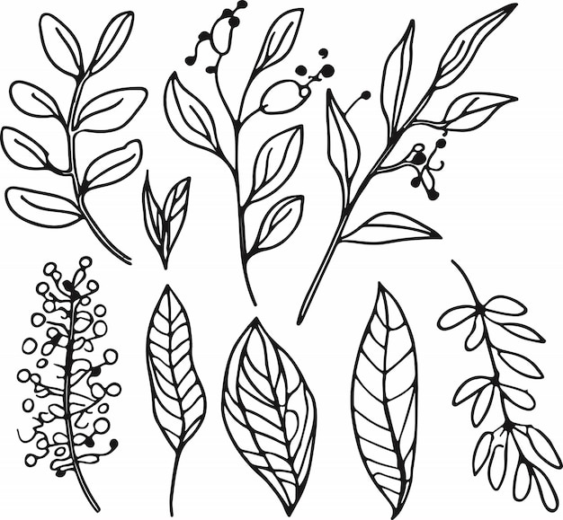 Incredible hand drawn line forest flora vector