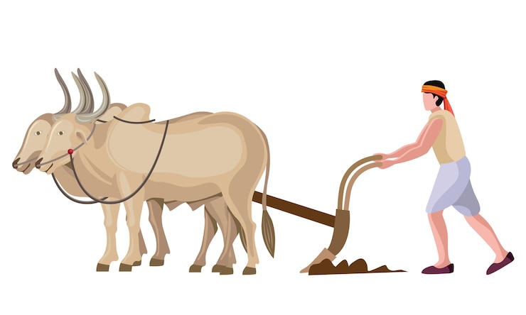 वेक्टर indian asian farmer ploughing with bullocks vector