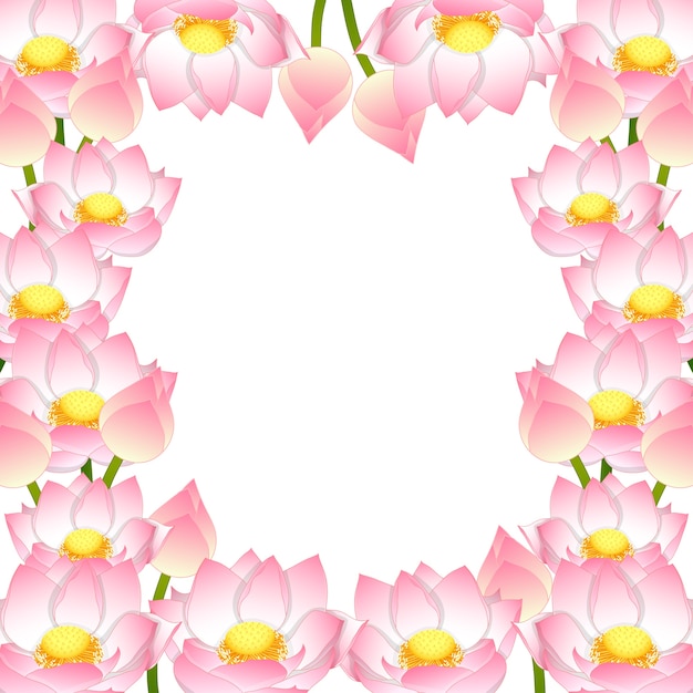 Indian lotus border