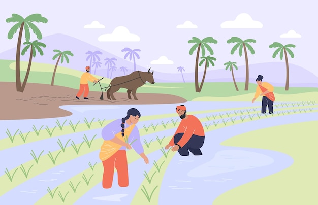 indian village landscape with happy farmers working. paddy field, farm with palm trees, cartoon men and women standing in water flat vector illustration. agriculture, farming, india concept for banner
