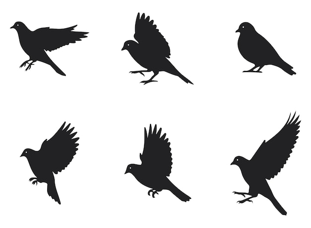 individua bird silhouettes set