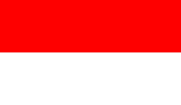 Indonesian Flag Vector