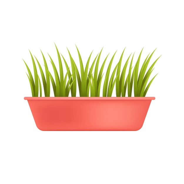 Indoor grass or plants growing in red pot 3D illustration