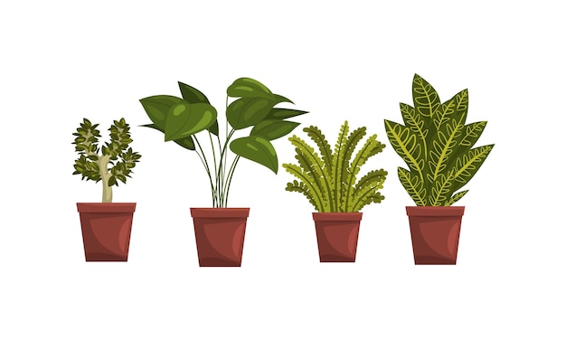 indoor house plants in flowerpots set home or office interior decoration vector illustration