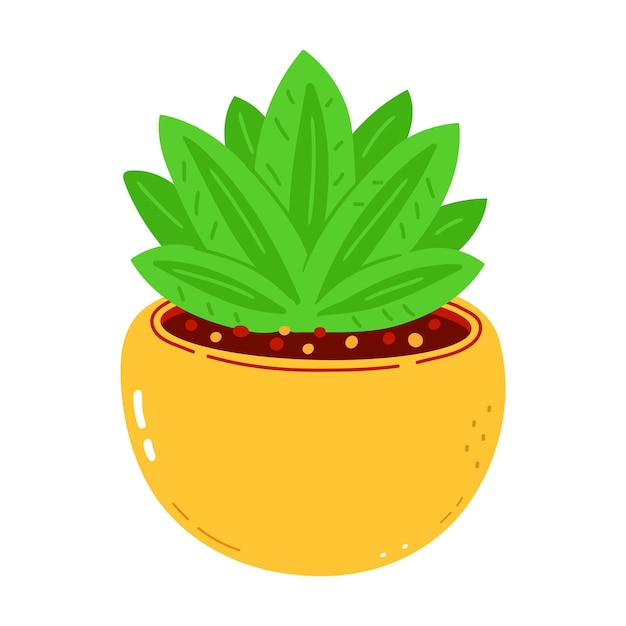 Indoor plant character