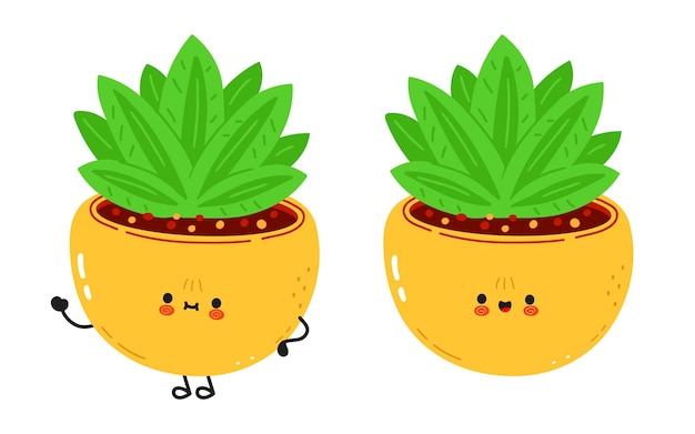 Indoor plant characters