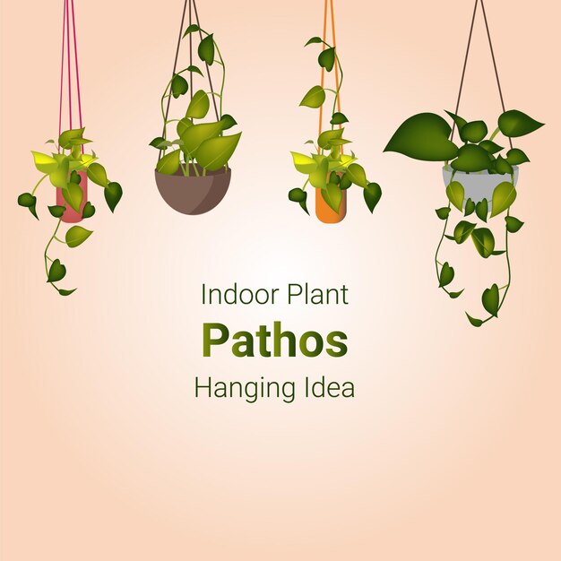 Vettore indoor plant pathos hanging idea