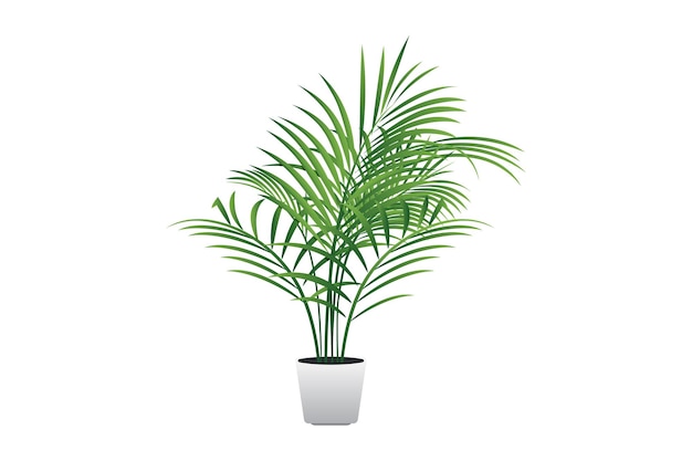 室内植物のベクトルイラスト