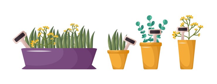 Vector indoor plants in colorful pots home garden urban jungle