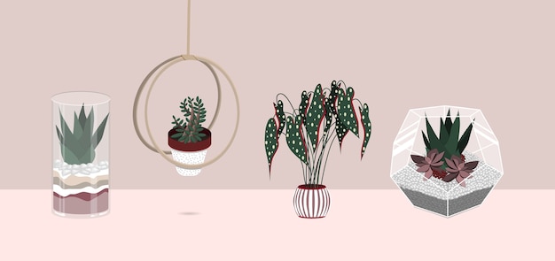 Vector indoor plants flat color illustrations set.