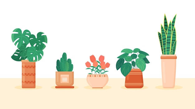 Vector indoor plants potted ornaments elements