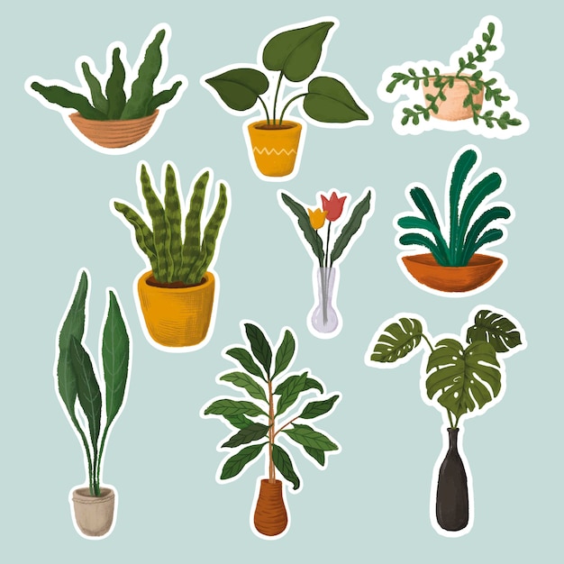 Vector indoor plants sticker collection