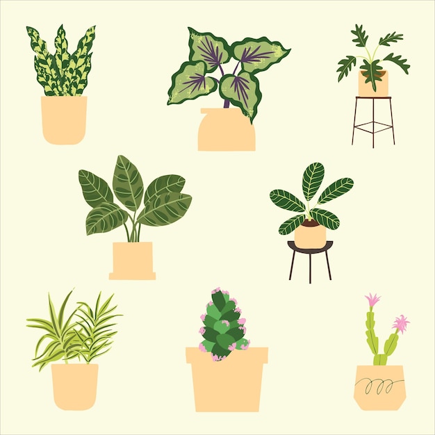 Vector indoor potted plant illustration. home decoration. tropical leaves in stylish planters and pots.