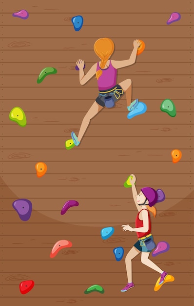 Vector indoor rock climbing gym