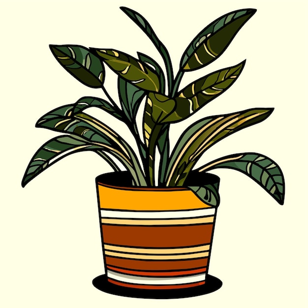 Vector indoor snake plant in ceramic pot