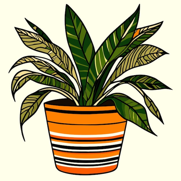 Vector indoor snake plant in ceramic pot