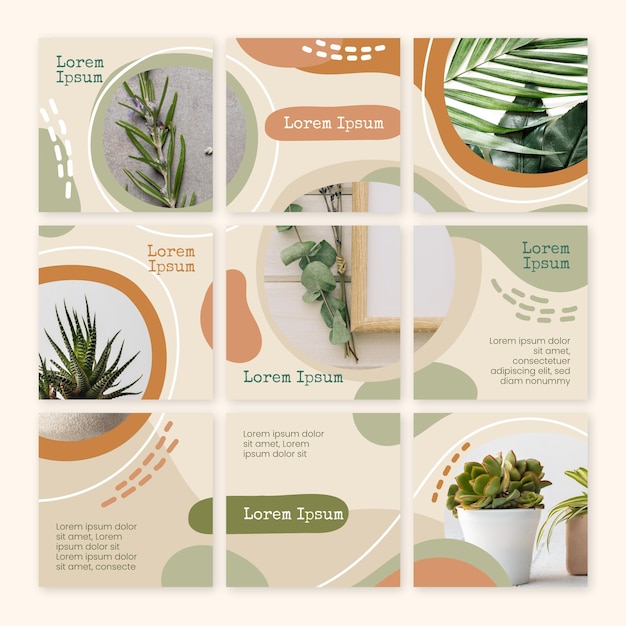 Vector indoors plants instagram puzzle feed