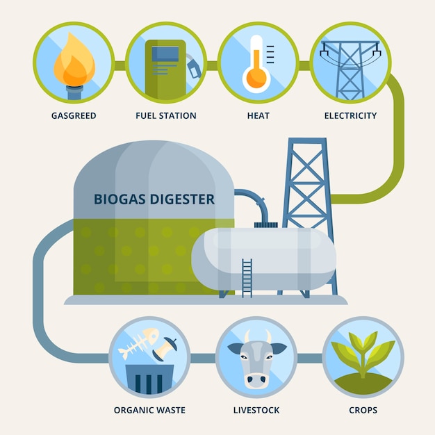 Vettore modello di infografica del settore del biogas