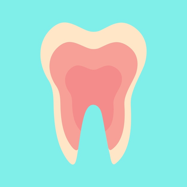 염증이 생긴 치아에 염증이 생긴 치수