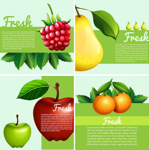 Infografisch ontwerp met vers fruit