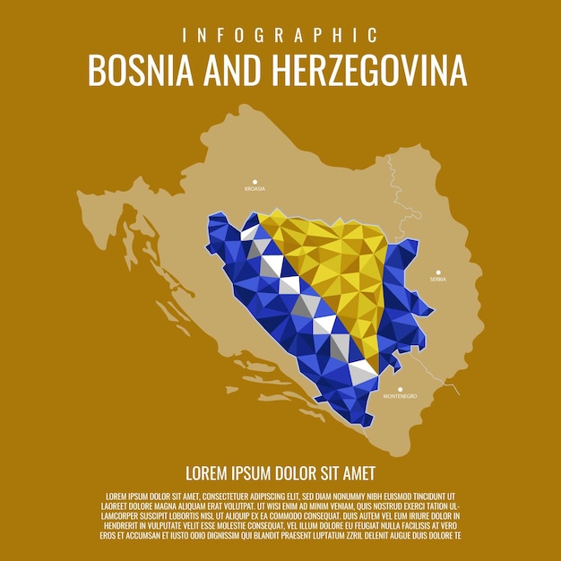 Vettore infografica bosnia ed erzegovina