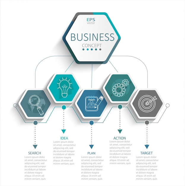 Vector infographic for business.