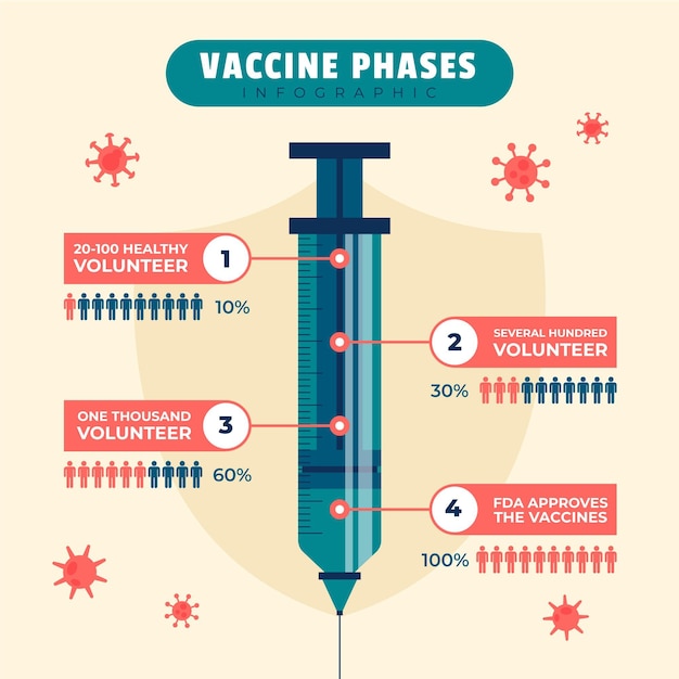 Vector infographic coronavirusvaccinfasen