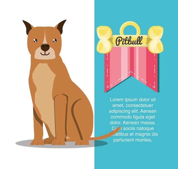 Вектор Инфографический дизайн питбульской собаки