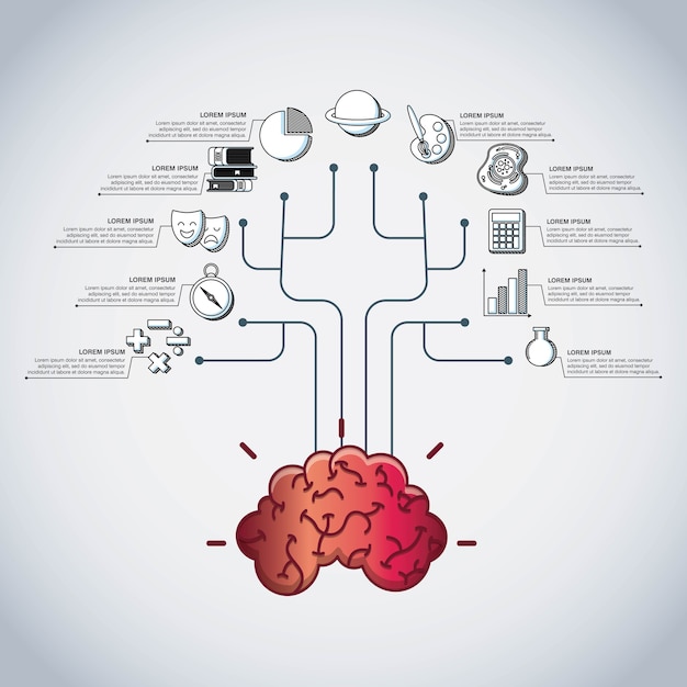 Infographic education presentation icons