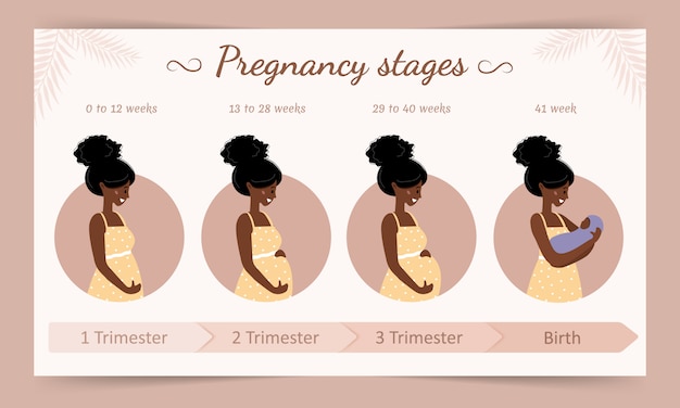 Инфографика этапов беременности. силуэт африканской беременной женщины. векторная иллюстрация в плоском стиле.
