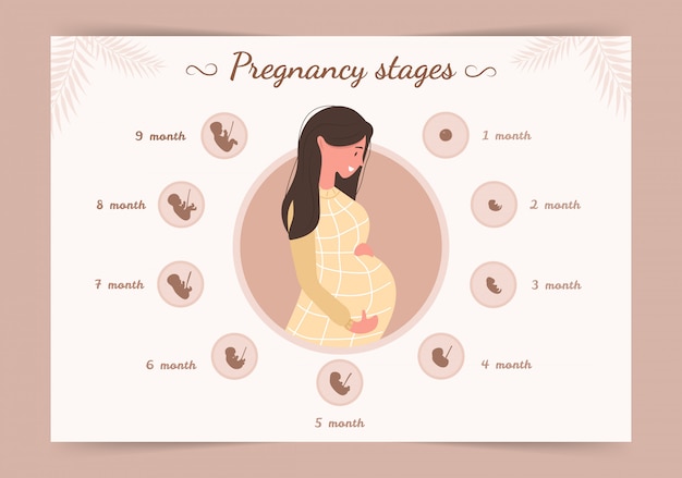 Infographic of pregnancy stages. silhouette of young pregnant woman . illustration in flat style.