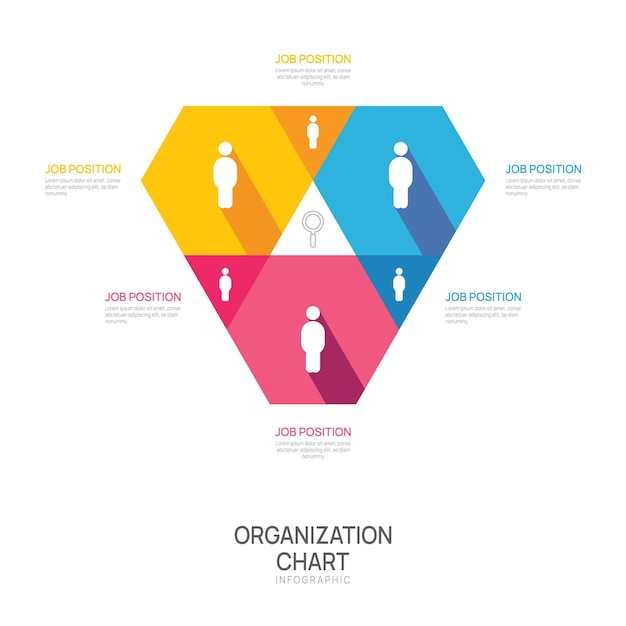 Modello infografico per l'organigramma con icone di business avatar business vettoriale