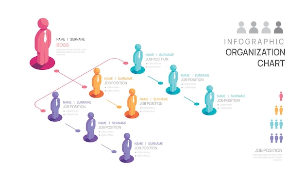 Infographic template for organization chart with business avatar icons vector infographic for business