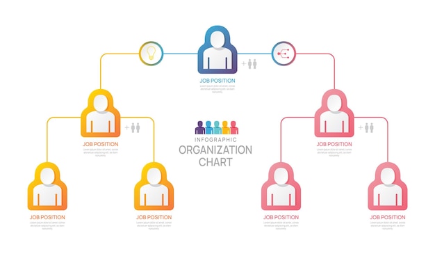 Infographic template for organization chart with business avatar icons vector infographic for business