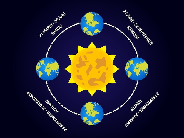 Vector infographic template vector 4 seasons in the world