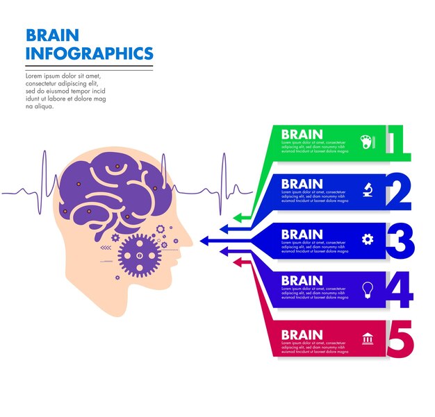 Vector infographic template vector