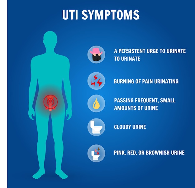 Vector infographic uti symptoms with icons in vector illustration