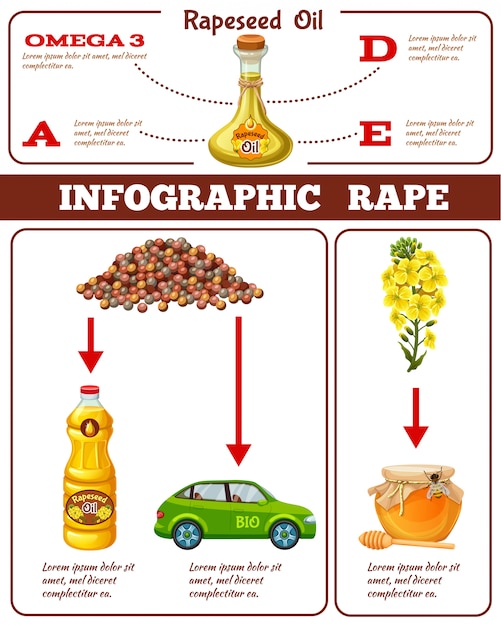 Infographic van koolzaadolie komt verkrachting ten goede