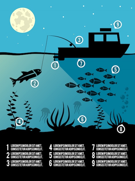 Vector infographic visserijsjabloon