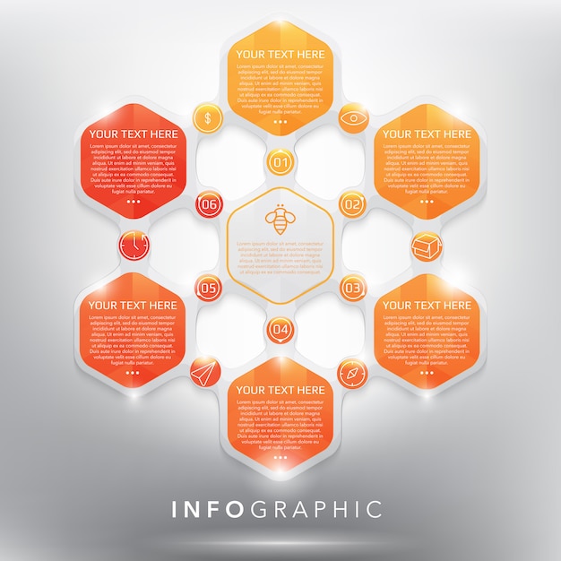 Infografica con passaggi