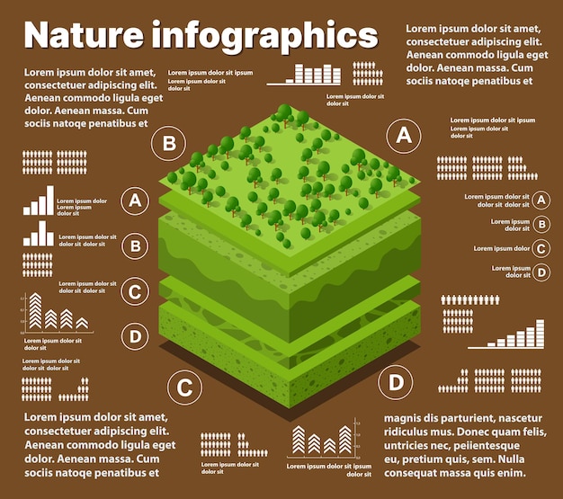 Infographics aard geologische en ondergrondse grondlagen onder het isometrische deel van het natuurlijke landschap