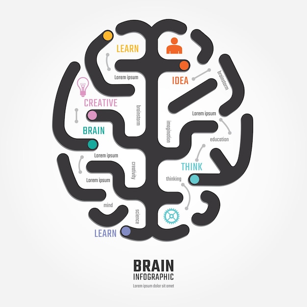 Modello di stile della linea del diagramma di progettazione del cervello di vettore di infografica