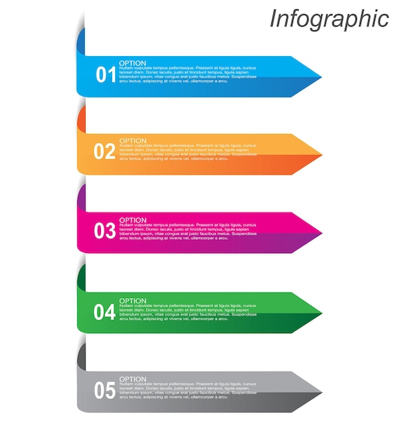 Infographics with steps and options