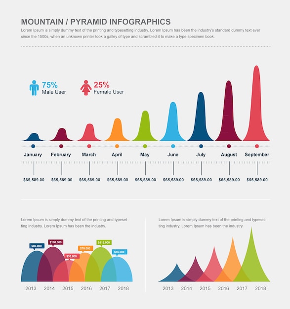 Vettore infografica