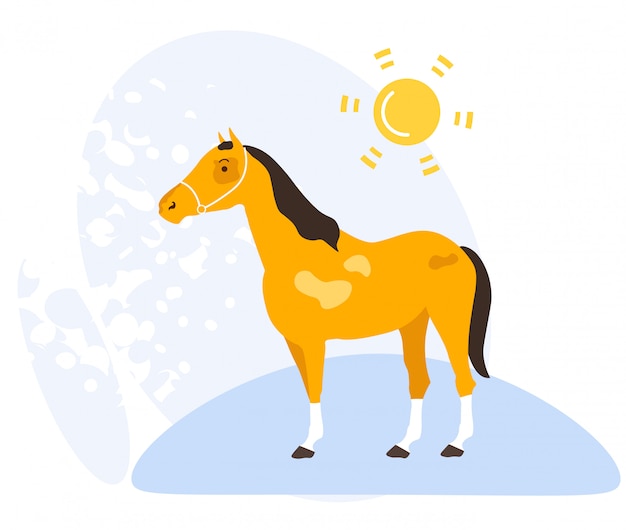 Informatieve Banner Natuur Zomer gras paard.