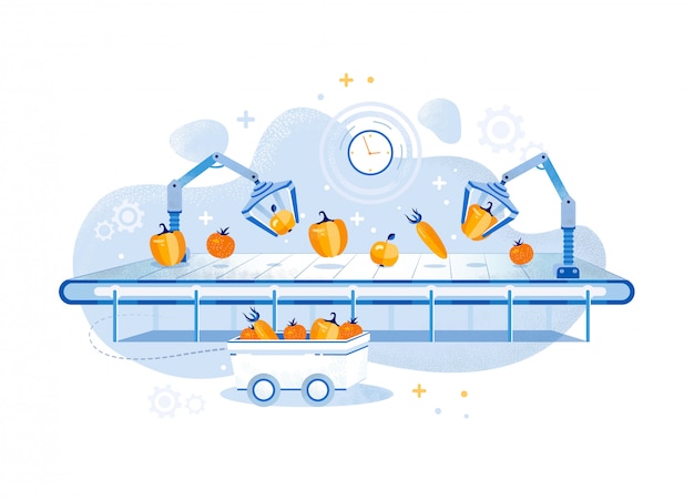 Vector informative poster vegetable production line.